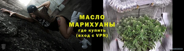 твердый Ельня