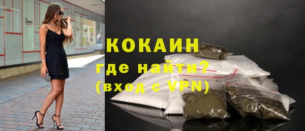 твердый Ельня