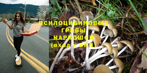 твердый Ельня