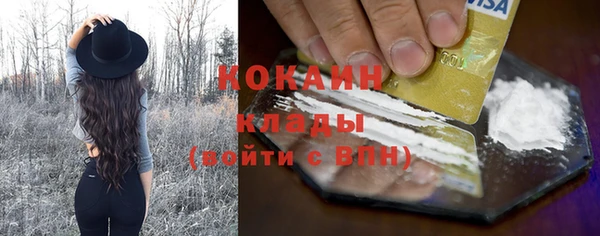 твердый Ельня