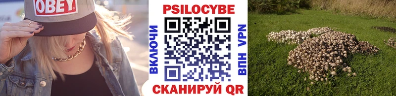 Купить закладки  Искитим  Галлюциногенные грибы Cubensis 