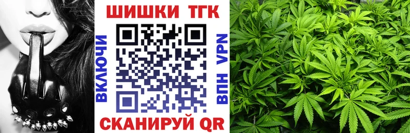 Бошки Шишки гибрид  Купить закладки  Искитим 